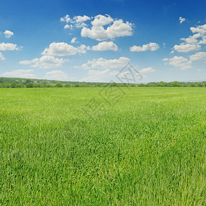 绿野和蓝天空有光云图片
