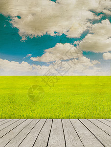 蓝色天空下的绿地木板美貌自然背景图片