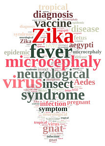 以zika上的字云插图图片