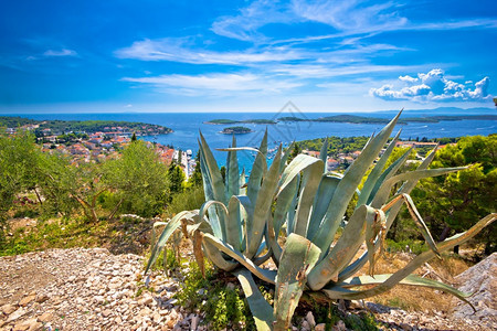 Hvar岛海岸和老城dalmticroti的全景图片