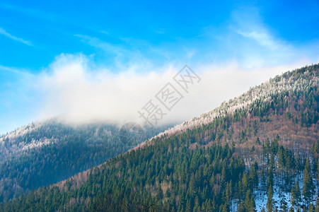 阳光明日下雪的喀尔巴阡山脉图片