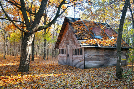 林中的小屋图片