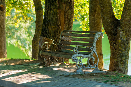 湖边夏季公园的空长椅图片