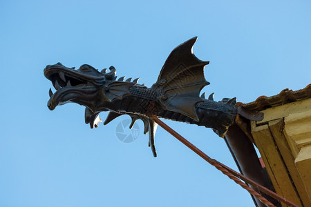 微角龙图片_微角龙素材_微角龙高清图片_摄图网图片下载_第2页