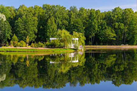 夏天美丽的平静湖夏天公园的图片