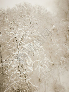 雪暴期间滑度假胜地的抽象场景图片