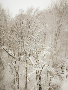 雪暴期间滑度假胜地的抽象场景图片