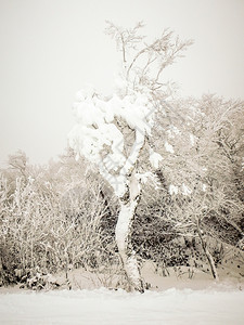 雪暴期间滑度假胜地的抽象场景图片