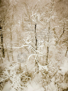 雪暴期间滑度假胜地的抽象场景图片