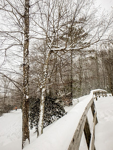 雪暴期间滑度假胜地的抽象场景图片