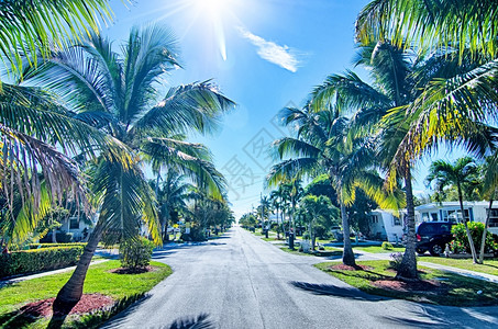 在西边的佛罗里达有棕榈树的海滩上图片