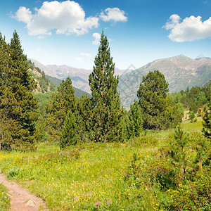 风景山脉草地和蓝天空图片