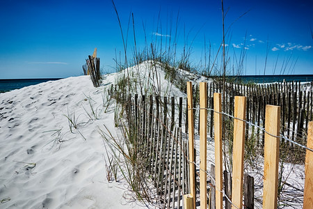 Florida海滩场景图片