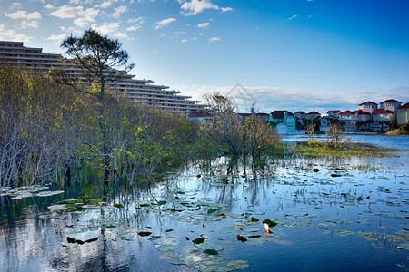 Florida海滩场景图片