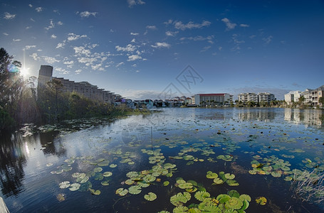 Florida海滩场景图片