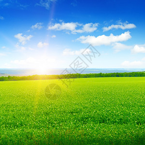 绿草地，日出和蓝天空图片