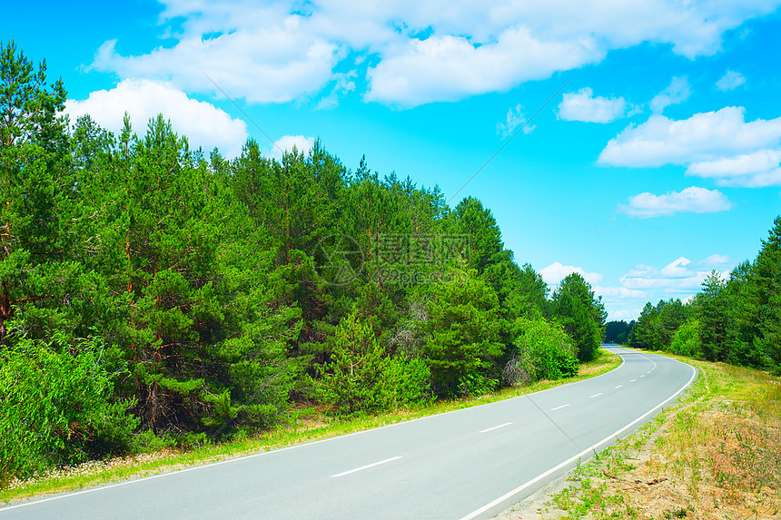 阳光明媚的森林道路图片