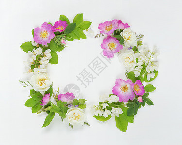 由粉红色野玫瑰和白蝗虫花组成的古老风格装饰成分白底带绿叶的色蝗虫花图片