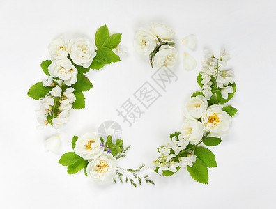 由白色野玫瑰和蝗虫花组成的古老风格装饰成分白色的野玫瑰和蝗虫花背景的绿叶子顶层视图平坦的面图片