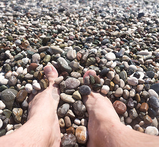 雄腿和石子海滩图片