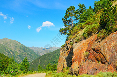 具有悬崖和松树的风景图片