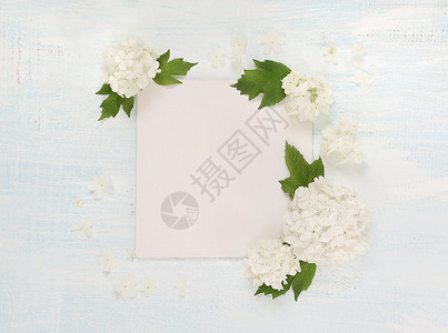 婚礼或家庭相册的剪贴页面带鲜白花和浅木底绿叶的框架顶部视图平铺顶部视图图片