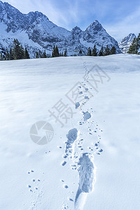 奥斯特里亚高山的雪地脚印细节图片