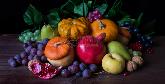 秋天生命装饰南瓜苹果梨石榴和深木本底的葡萄图片