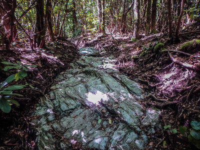 向北卡罗莱纳山峰移动自然的足迹场景图片