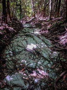 向北卡罗莱纳山峰移动自然的足迹场景图片