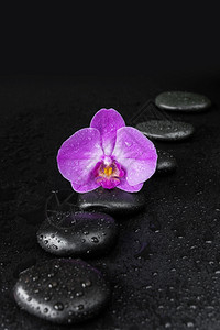 黑色水带黑色玄武按摩石连链条和紫兰花黑底水滴覆盖的紫兰花背景
