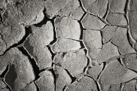 旱地泥背景质全球升温概念图片
