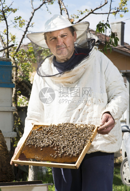 养蜂工厂的工作人员在工作图片