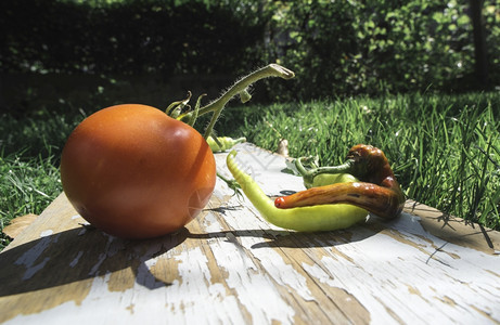 蔬菜西红柿和木本的胡椒图片
