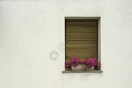 白色阳台窗口上有盆花图片
