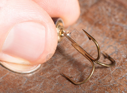 爱丽丝梦游陷阱钓鱼和手指的钩子宏观拍摄自然外观背景