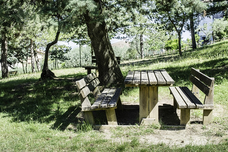 木板凳和树林里的桌子图片