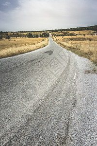 农村道路和荒草地图片