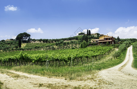 意大利托斯卡纳的葡萄园和农舍图片