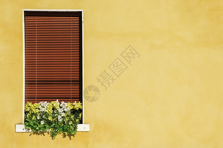 黄色阳台窗口上有盆花图片