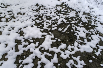 冰雪融正在显示土地春天图片