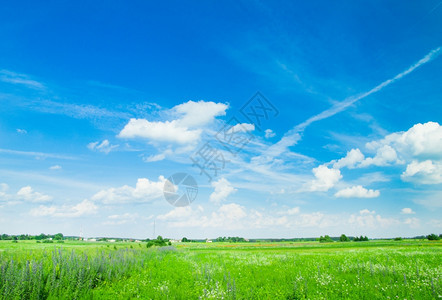 草地和完美的天空图片