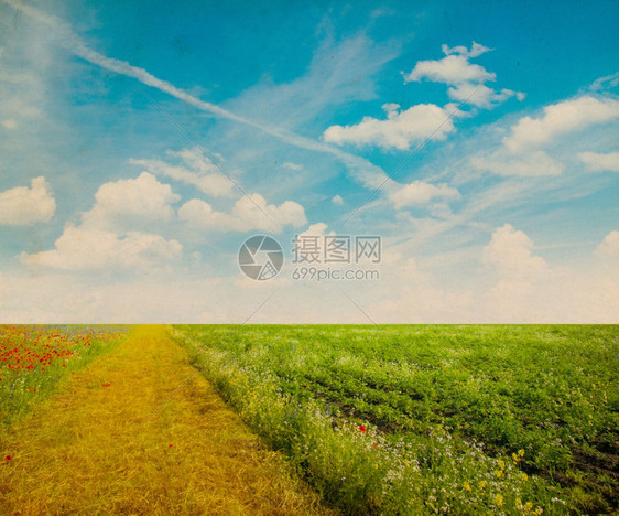 绿地和蓝色天空图片