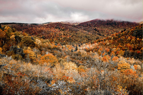 秋天蓝色山脊公园道上的图片