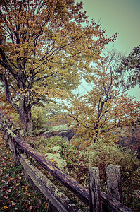 蓝色山脊的自然景象在蓝色山脊的公园道上充满烟雾的山峰上图片