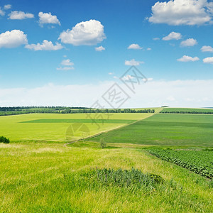 绿野和蓝天空有光云图片
