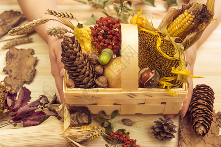 秋天产品如玉米向日葵苹果木篮中的南瓜与其他林业元素一同装饰图片