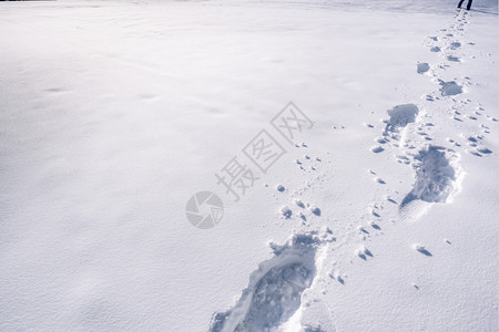 雪地中的脚印图片