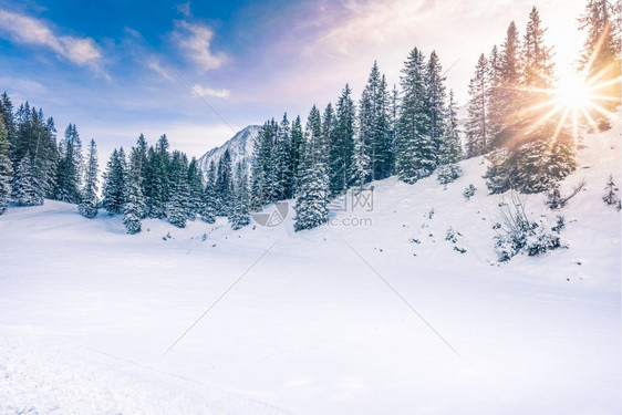 冬季雪地风景图片