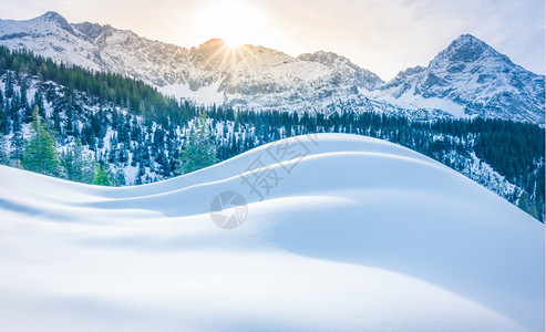 冬季森林中厚厚的积雪图片